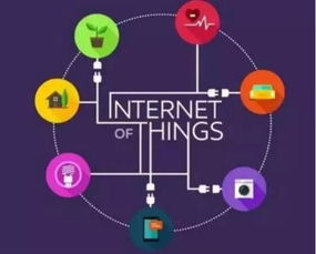 全球物聯網市場蓬勃發展，中國引領創新與實踐浪潮