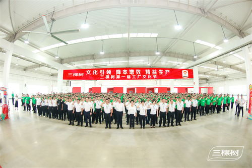 凝心聚力共筑文化 生產(chǎn)力 三棵樹第 一屆工廠文化節(jié)啟動儀式圓滿舉行