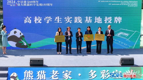 視頻 多圖丨60秒帶你打卡大熊貓國際文化交流中心開館現場